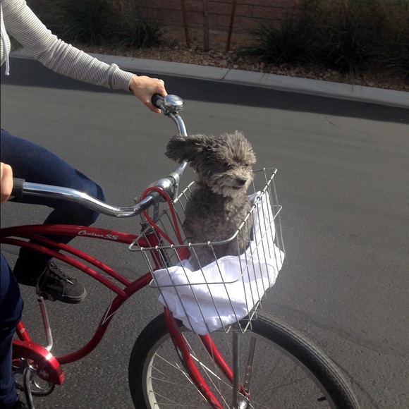 Meet your Posher, Jamie - Picture 1 of 1